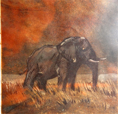 Bild Elefantenbulle von Uli Aschenborn